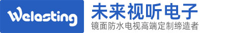 东莞未来视听电子有限公司